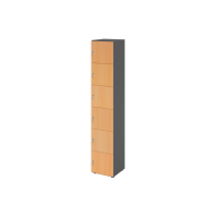 Schliessfachschrank 6OH Graphit/Buche,6xDS