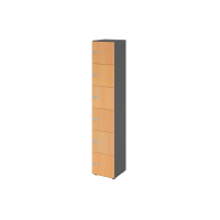 Schliessfachschrank 6OH Graphit/Buche,6xZS