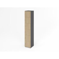 Schliessfachschrank 6OH Graphit/Eiche,6x gallery