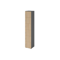 Schliessfachschrank 6OH Graphit/Eiche,6xDS