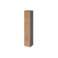 Schliessfachschrank 6OH Graphit/Nuss,6xDS