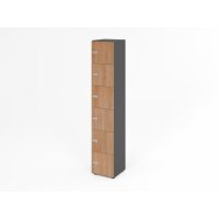 Schliessfachschrank 6OH Graphit/Nuss,6xZ gallery