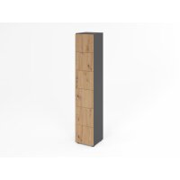Schliessfachschrank 6OH Graphit/Ast.,6xD gallery
