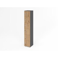 Schliessfachschrank 6OH Graphit/Ast.,6xZ gallery