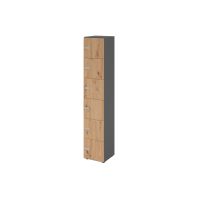 Schliessfachschrank 6OH Graphit/Ast.,6xZS