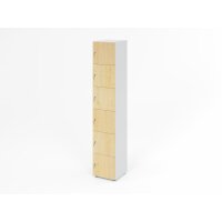 Schliessfachschrank 6OH Weiss/Ahorn,6xDS gallery