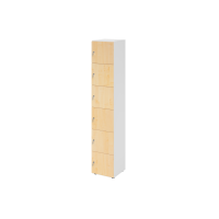 Schliessfachschrank 6OH Weiss/Ahorn,6xDS