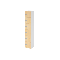 Schliessfachschrank 6OH Weiss/Ahorn,6xZS