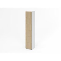 Schliessfachschrank 6OH Weiss/Eiche,6xDS gallery