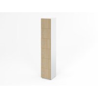 Schliessfachschrank 6OH Weiss/Eiche,6xZS gallery