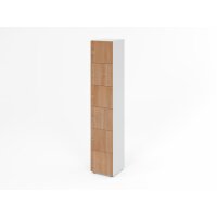 Schliessfachschrank 6OH Weiss/Nuss,6xDS gallery