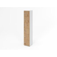 Schliessfachschrank 6OH Weiss/Asteiche,6 gallery
