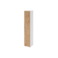 Schliessfachschrank 6OH Weiss/Asteiche,6xZS