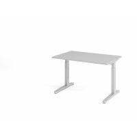 Schreibtisch C-Fuß 120x80cm Grau/S gallery