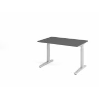 Schreibtisch C-Fuß 120x80cm Graphi gallery