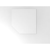 Trapezplatte XBT12 Weiß/Silber gallery