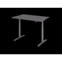 Sitz-Steh-Schreibtisch el.120x80cm Graphit