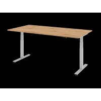 Sitz-Steh-Schreibtisch el.200x100cm Asteiche