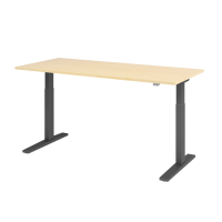 Sitz-Steh-Schreibtisch el. 180x80cm Ahorn/Gra