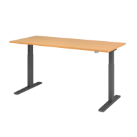 Sitz-Steh-Schreibtisch el. 180x80cm Buche/Gra