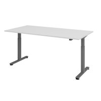 Sitz-Steh-Schreibtisch el.200x100cm Grau