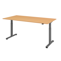 Sitz-Steh-Schreibtisch el.200x100cm Buche