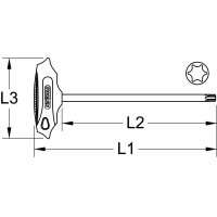T-Griff-Torx-Stiftschlüssel, T6