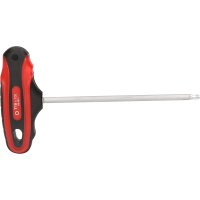 T-Griff-Torx-Stiftschlüssel, T15