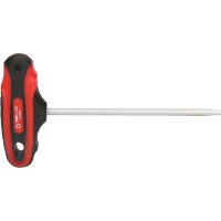T-Griff-Torx-Stiftschlüssel, T20