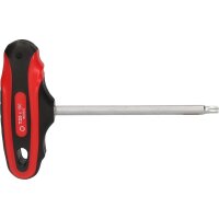 T-Griff-Torx-Stiftschlüssel, T25