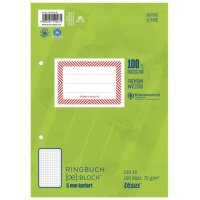 Ringbuchblock - A5, 100 Blatt, 70 g/qm, kariert
