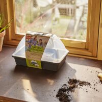 Anzucht Starter-KIT 24tlg 29x19x19cm 2