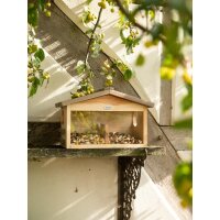 Eichhörnchen KNABBER Kiefer FSC® 100% 4