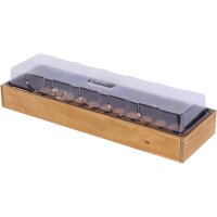 Anzuchtvollholzkiste mit 36 Quelltabs 2