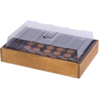 Anzuchtvollholzkiste mit 24 Quelltabs 2
