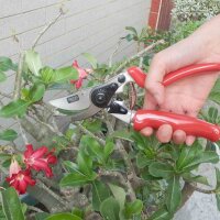 Premium Bypassschere 7-RG mit Rollgriffen, 21,5 cm 5