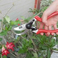 Premium Bypassschere 8-EG Ergo-Griffe. 21,5 cm 5