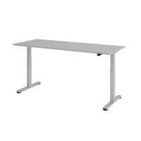 Schreibtisch XMST20 grau/silber gallery