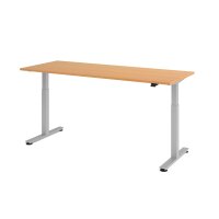 Schreibtisch XMST20 Buche/silber gallery
