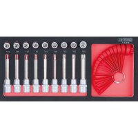 SCS Bit-Stecknuss-Satz, Torx, 19-tlg in 1/3 Systemeinlage