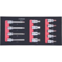 SCS CHROMEplus 1/2" Bit-Stecknuss-Satz, 13-tlg in 1/3 Systemeinlage