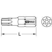 1/4" EDELSTAHL Bit, 25mm, TB20