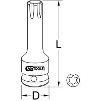 1/2" Kraft-Bit-Stecknuss für RIBE-Schrauben, M13