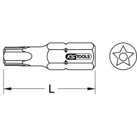 1/4" Bit für Fünfstern, Bohrung, TS10, 5er Pack