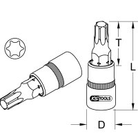 1/4" Bit-Stecknuss Torx, T6