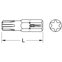 1/4" Bit RIBE, 25mm, M5