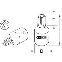 1/4" Bit-Stecknuss, Fünfstern mit Stirnlochbohrung, TS8
