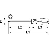 BERYLLIUMplus Schraubendreher TORX T8