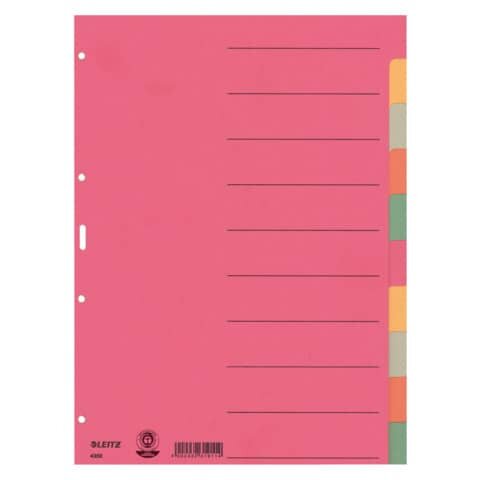 4359 Register - Karton, blanko, A4, 10 Blatt, farbig