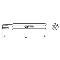 10mm Bit Torx, Bohrung, 75mm, TB10